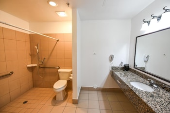 Standard Room, 1 King Bed, Accessible, Non Smoking (Walk-in Shower)