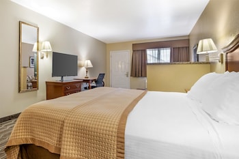 Standard Room, 1 King Bed, Non Smoking, Refrigerator & Microwave (Larger Room;with Sofabed)