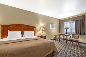 Standard Room, 1 King Bed, Accessible, Non Smoking (Walk-in Shower)