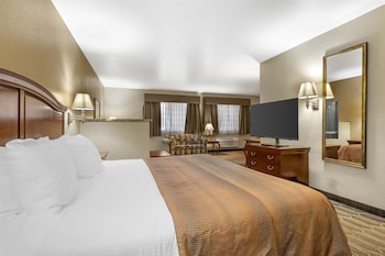 Suite, 1 King Bed, Non Smoking, Refrigerator & Microwave (Larger Room;with Sofabed)