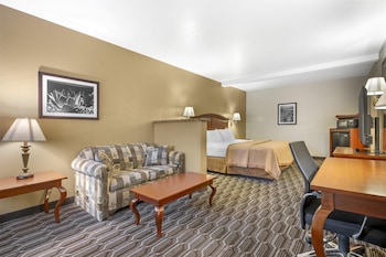 Standard Room, 1 King Bed, Non Smoking, Refrigerator & Microwave (Larger Room;with Sofabed)