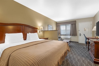 Standard Room, 1 King Bed, Non Smoking, Refrigerator & Microwave (with Sofabed)