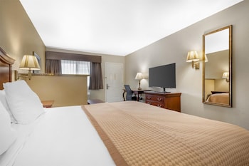 Standard Room, 1 King Bed, Non Smoking, Refrigerator & Microwave (with Sofabed)