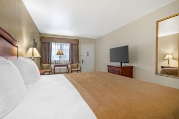 Standard Room, 1 King Bed, Accessible, Non Smoking (Walk-in Shower)