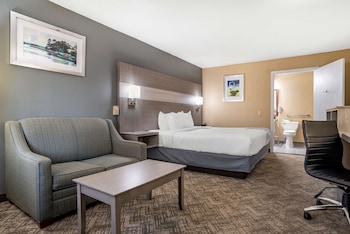 Standard Room, 1 King Bed, Accessible, Bathtub