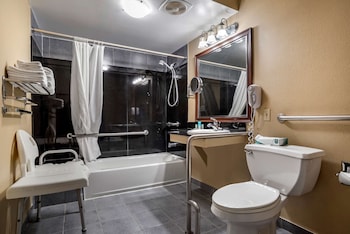 Standard Room, 1 King Bed, Accessible, Bathtub