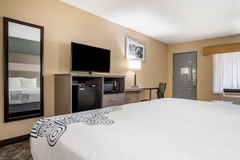 Standard Room, 1 King Bed (Walk-in Shower)