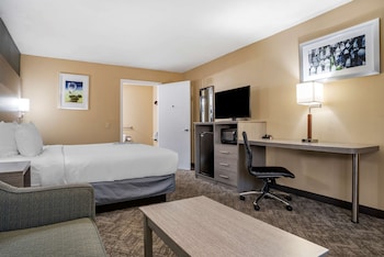 Standard Room, 1 King Bed (Walk-in Shower)