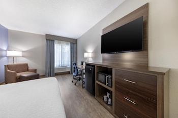 Standard Room, 1 King Bed, Non Smoking, Refrigerator & Microwave