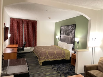 Studio Suite, 1 King Bed, Accessible, Non Smoking (Roll-In Shower)