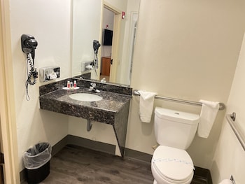 Room, 1 King Bed, Accessible, Non Smoking (Roll-In Shower)