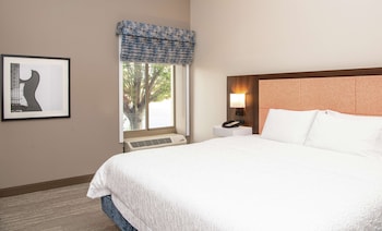 Suite, 1 King Bed