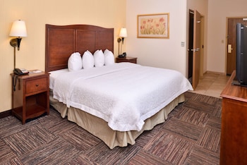Room, 1 King Bed, Accessible, Bathtub