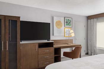 Standard Room, 1 King Bed, Accessible (Communications)