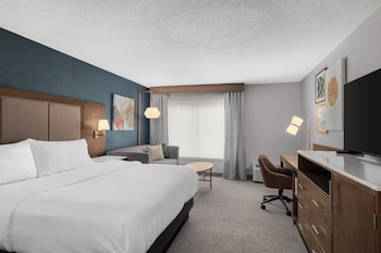 Standard Room, 1 King Bed with Sofa bed