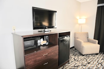 Business Room, 1 King Bed