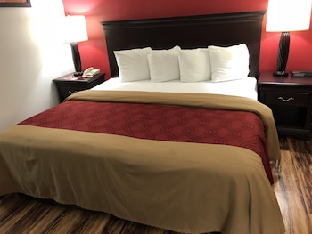 Standard Room, 1 King Bed with Sofa bed, Non Smoking
