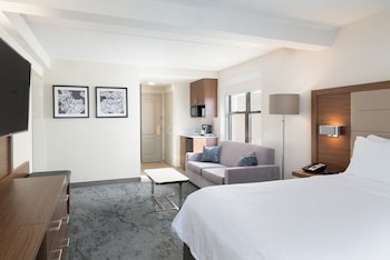 Studio Suite, 1 King Bed with Sofa bed (Additional Living Area)