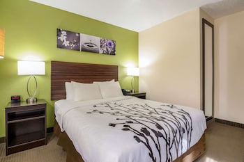 Room, 1 Queen Bed, Accessible, Non Smoking