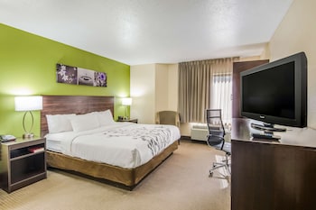 1 King Bed