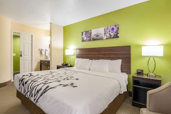 1 King Bed