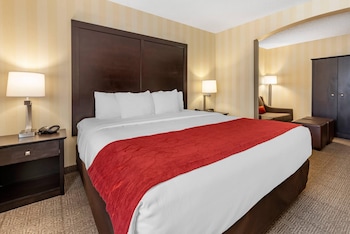 Suite, 1 King Bed, Accessible, Non Smoking