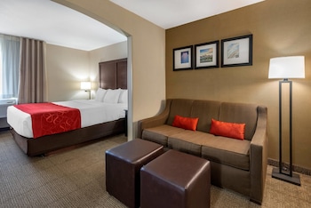 Suite, 1 King Bed with Sofa bed, Non Smoking
