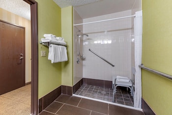Suite, 1 King Bed with Sofa bed, Accessible, Non Smoking (Roll-In Shower)
