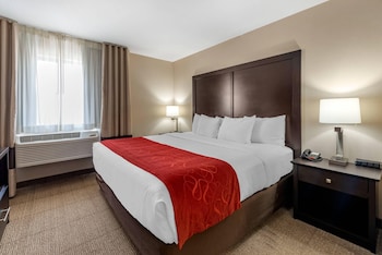 Suite, 1 King Bed with Sofa bed, Non Smoking