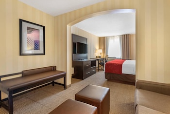 Suite, 1 King Bed with Sofa bed, Accessible, Non Smoking (Roll-In Shower)