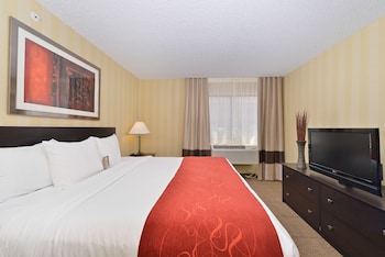 Suite, 1 King Bed, Accessible, Non Smoking