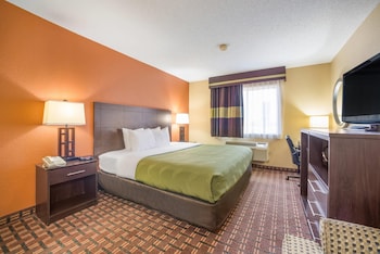 Standard Room, 1 King Bed, Non Smoking