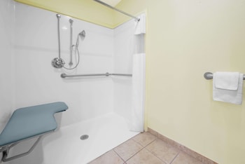 Room, 1 King Bed, Accessible, Non Smoking (Roll-In Shower)