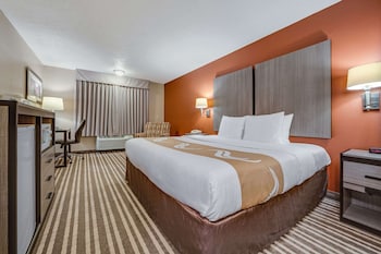 Standard Room, 1 King Bed, Non Smoking