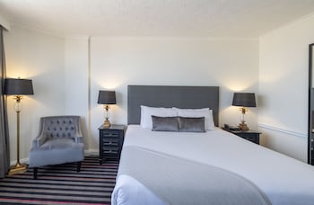 Executive Suite, 1 King Bed