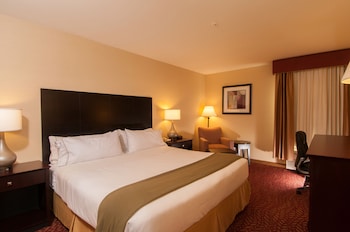 Standard Room, 1 King Bed, Accessible (Comm, Mobil, Accessible Tub)