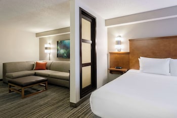 Room, 1 King Bed with Sofa bed (High Floor)