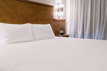 Room, 1 King Bed, Accessible, Bathtub