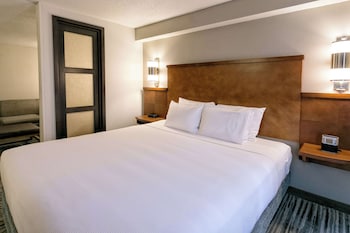 Room, 1 King Bed with Sofa bed (High Floor)