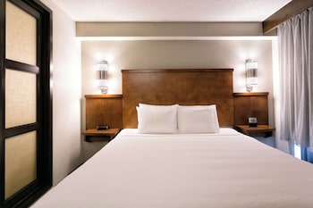 Room, 1 King Bed, Accessible, Bathtub