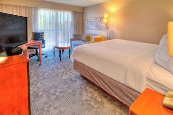 Room, 1 King Bed