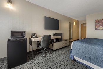 Standard Room, 1 King Bed, Non Smoking, Refrigerator & Microwave (with Sofabed)