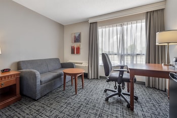 Suite, 1 King Bed, Non Smoking, Jetted Tub (with Sofabed)