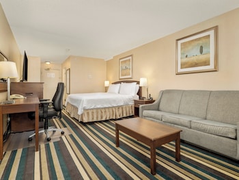 Standard Room, 1 King Bed with Sofa bed