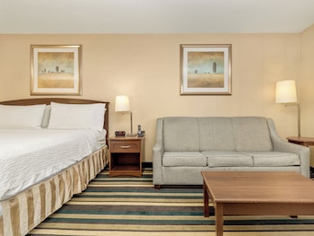Standard Room, 1 King Bed with Sofa bed