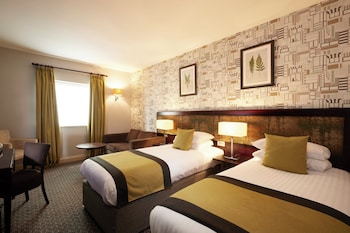 Standard Room, 1 Double Bed with Sofa bed (Standard Double Room)