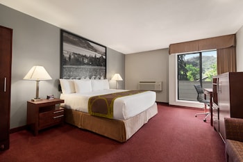 Standard Room, 1 King Bed, Non Smoking (No Pets)
