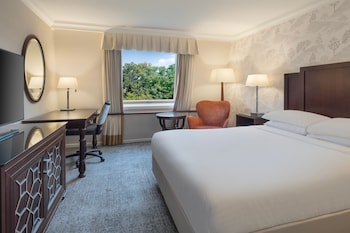 Deluxe Room, 1 Double Bed