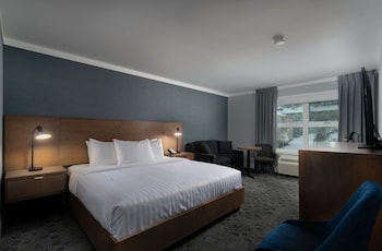 Standard Room, 1 King Bed, Non Smoking (with Single Sofabed)