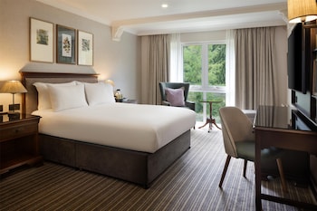 Deluxe Room, 1 Queen Bed, Non Smoking